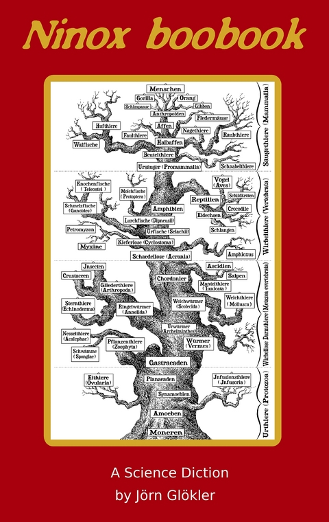 Ninox boobook - J&ouml;rn Gl&ouml;kler