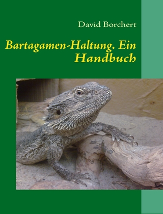 Bartagamen-Haltung
