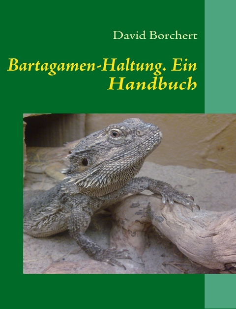 Bartagamen-Haltung - David Borchert