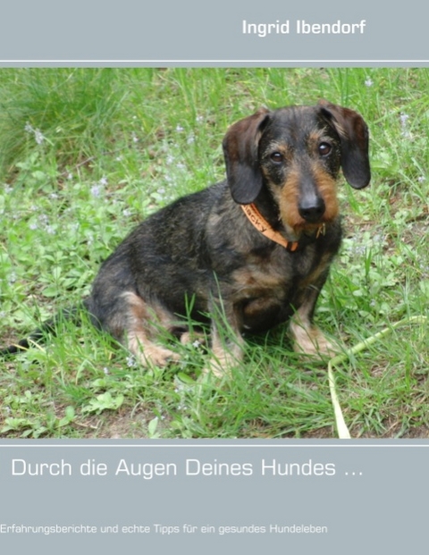 Durch die Augen Deines Hundes ... - Ingrid Ibendorf