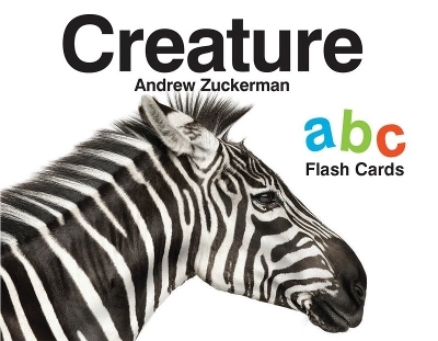 Creature Abc Flash Cards - 