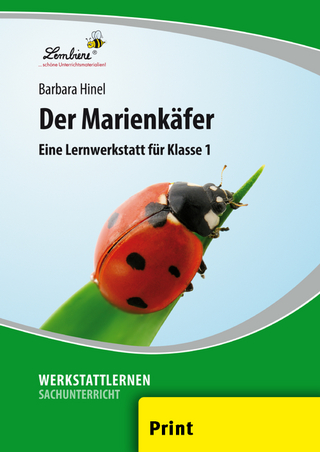 Der Marienkäfer
