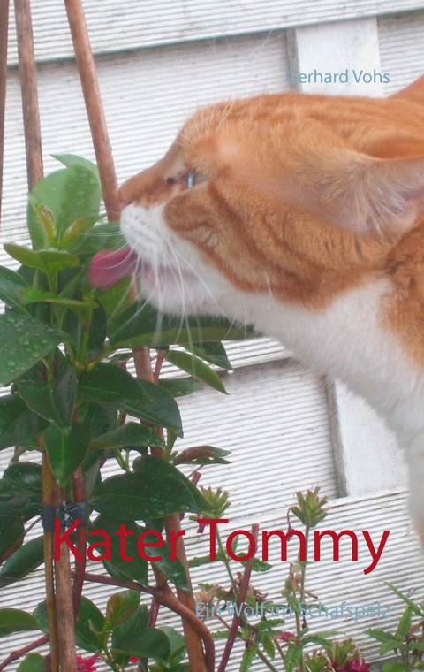 Kater Tommy - Gerhard Vohs