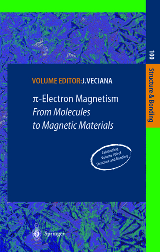π-Electron Magnetism