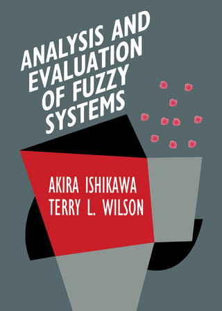 Analysis and Evaluation of Fuzzy Systems