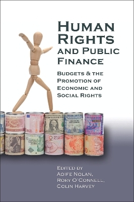 Human Rights and Public Finance - 