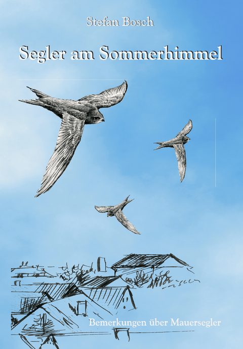 Segler am Sommerhimmel - Stefan Bosch