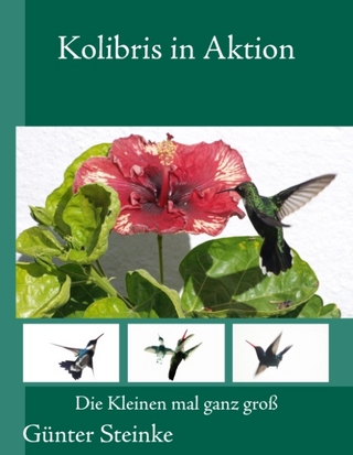 Kolibris in Aktion