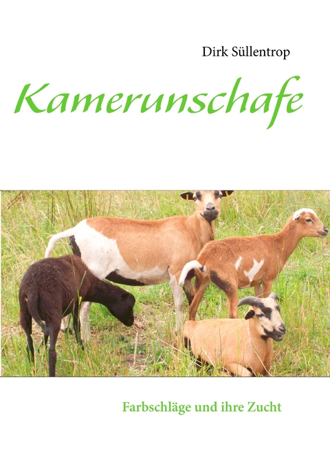 Kamerunschafe - Dirk S&uuml;llentrop