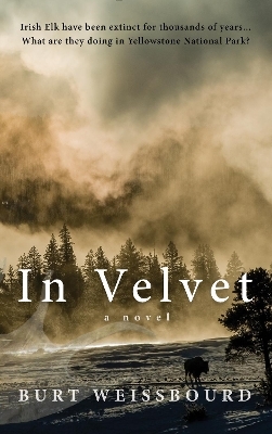 In Velvet - Burt Weissbourd