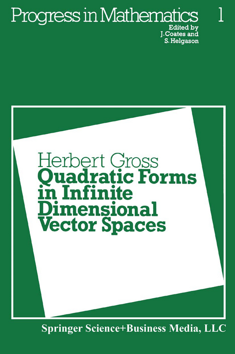 Quadratic Forms in Infinite Dimensional Vector Spaces - H. Gross
