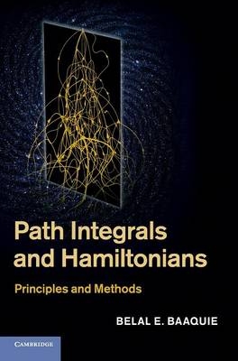 Path Integrals and Hamiltonians