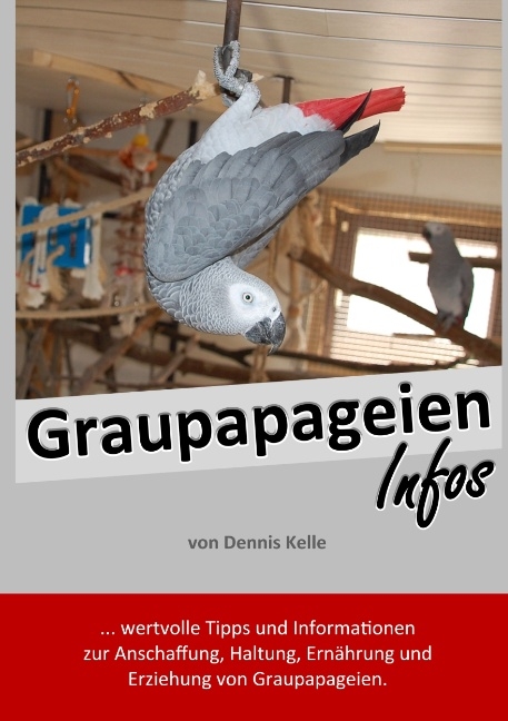 Graupapageien Infos