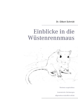 Einblicke in die Wüstenrennmaus