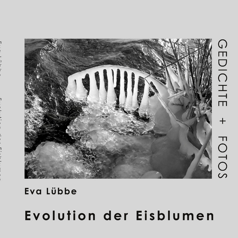 Evolution der Eisblumen - Eva L&uuml;bbe