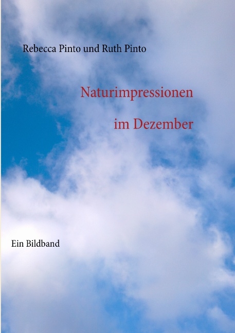 Naturimpressionen im Dezember