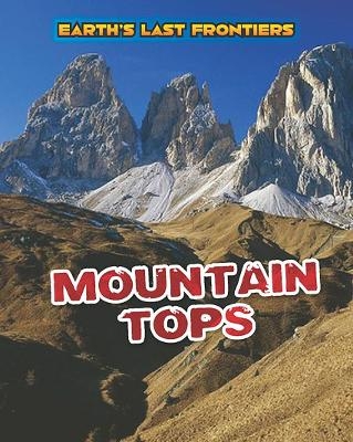 Mountain Tops - Ellen Labrecque