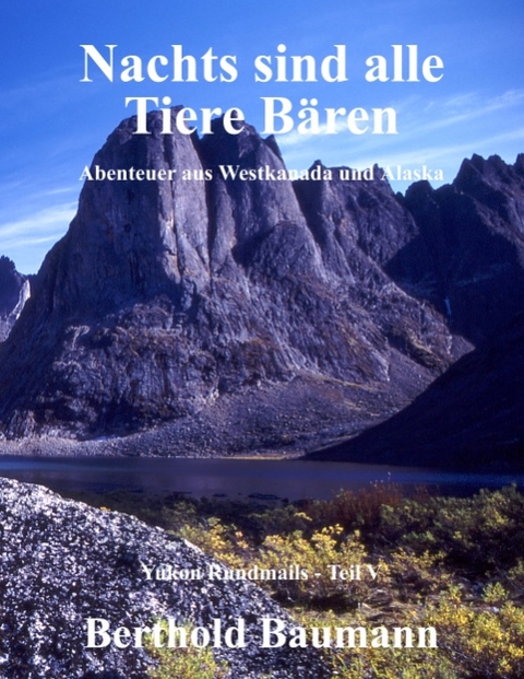 Nachts sind alle Tiere B&auml;ren - Berthold Baumann