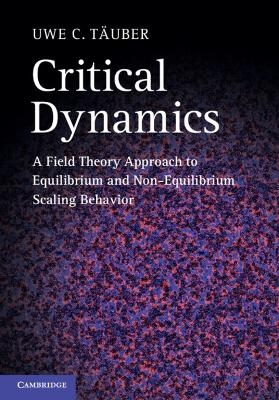Critical Dynamics - Uwe C. T&auml;uber