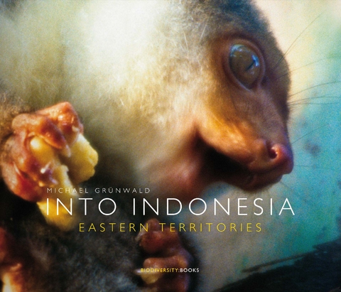 Into Indonesia - Michael Gr&uuml;nwald