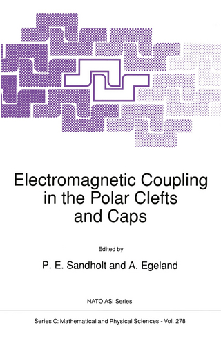 Electromagnetic Coupling in the Polar Clefts and Caps