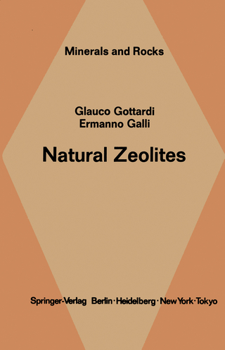 Natural Zeolites