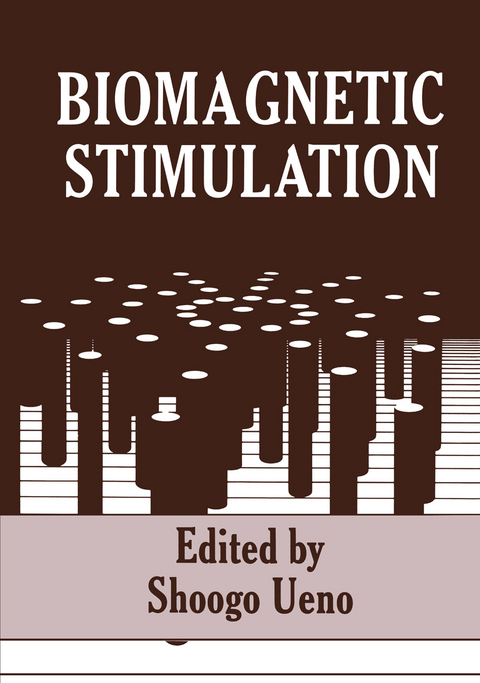 Biomagnetic Stimulation - 