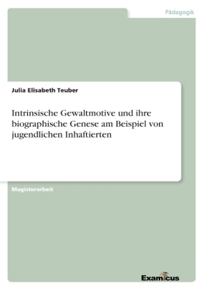 Intrinsische Gewaltmotive und ihre biographische Genese am Beispiel von jugendlichen Inhaftierten - Julia Elisabeth Teuber