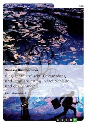 Illegale Steuerflucht: BekÃ¤mpfung und Regularisierung in Deutschland und der Schweiz