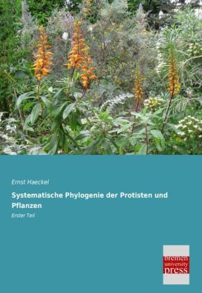 Systematische Phylogenie der Protisten und Pflanzen