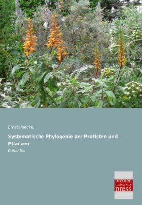 Systematische Phylogenie der Protisten und Pflanzen