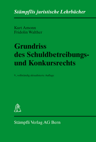 Grundriss des Schuldbetreibungs- und Konkursrechts
