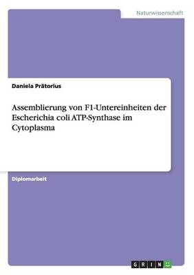 Assemblierung von F1-Untereinheiten der Escherichia coli ATP-Synthase im Cytoplasma