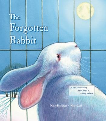 The Forgotten Rabbit - Nancy Furstinger