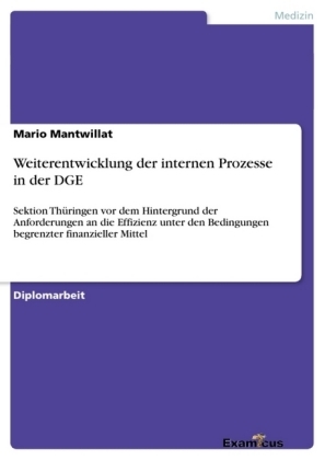 Weiterentwicklung der internen Prozesse in der DGE - Sektion Th&uuml;ringen vor dem Hintergrund der Anforderungen an die Effizienz unter den Bedingungen begrenzter finanzieller Mittel - Mario Mantwillat