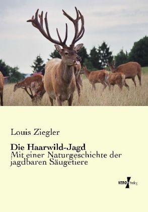Die Haarwild-Jagd - Louis Ziegler