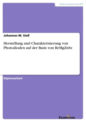 Herstellung und Charakterisierung von Photodioden auf der Basis von BeMgZnSe