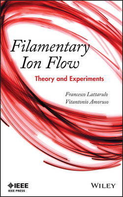 Filamentary Ion Flow – Theory and Experiments - F Lattarulo