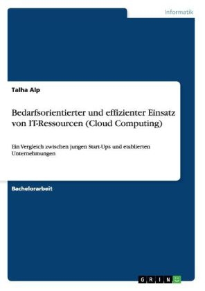 Bedarfsorientierter und effizienter Einsatz von IT-Ressourcen (Cloud Computing) - Talha Alp