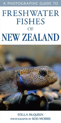 Photographic Guide To Freshwater Fishes Of New Zealand - Stella McQueen &amp Morris;  Rod