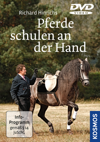 Pferde schulen an der Hand
