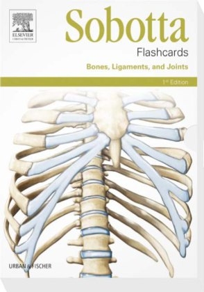 Sobotta Flashcards Bones, Ligaments, and Joints
