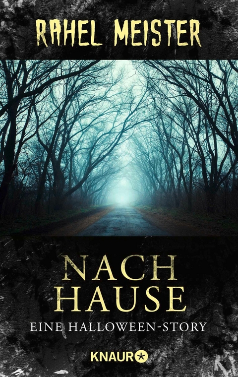 Nach Hause - Rahel Meister