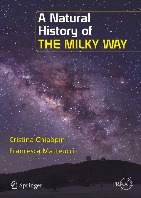 A Natural History of the Milky Way - Cristina Chiappini, Francesca Matteucci
