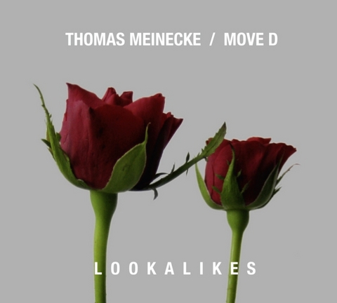 Lookalikes - Thomas Meinecke