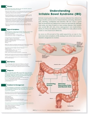 Understanding Irritable Bowel Syndrome Anatomical Chart