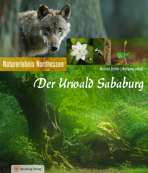 Der Urwald Sababurg - Naturerlebnis Nordhessen - Manfred Delpho, Wolfgang L&uuml;bcke