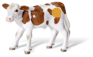 tiptoi® Fleckvieh Kalb