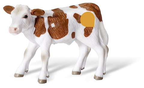 tiptoi&reg; Fleckvieh Kalb