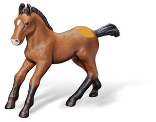 tiptoi® Andalusier-Fohlen